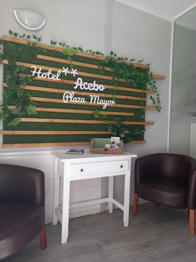 Hotel Acebo Plaza Mayor ハカ エクステリア 写真